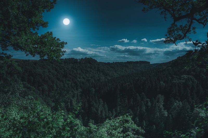 Black Forest, Germany